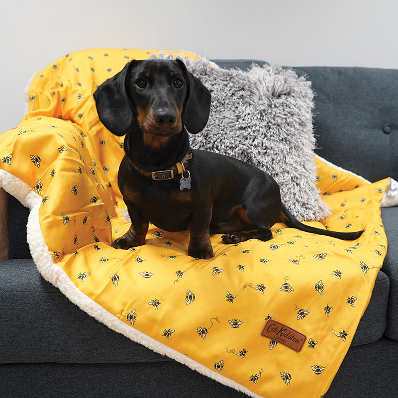 Cath kidston shop sausage dog duvet